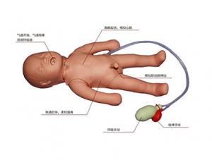 克孜勒苏柯尔克孜ZMJY/M-Baby  Mini心肺复苏模拟人