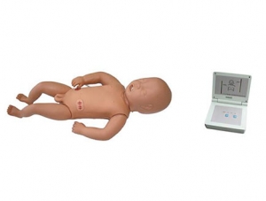商洛ZMJY/CPR-002  婴儿心肺复苏模拟人