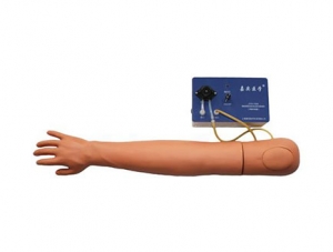 ZMJY/H-1004  静脉穿刺及肌肉注射训练模型（带循环装置)