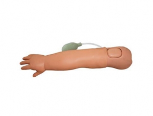 ZMJY/H-2034 儿童手臂动脉穿刺训练模型