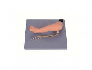 ZMJY/H-3035婴儿腿部静脉穿刺模型