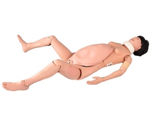ZMJY/F-10002分娩与母子急救模拟人