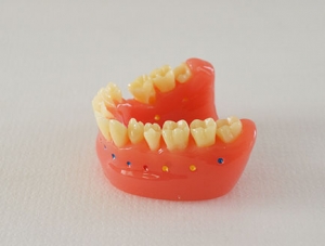 ZM-DSC02231_N13牙缝刷模型