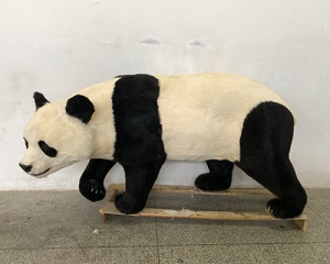 世界各地仿真大熊猫