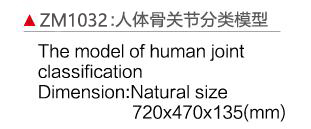 ZM1032 人体关节分类模型
