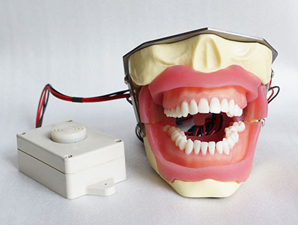 ZM-DSC02428_E16蜂鸣器的拔牙麻醉模型