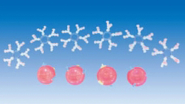 biophysiological model