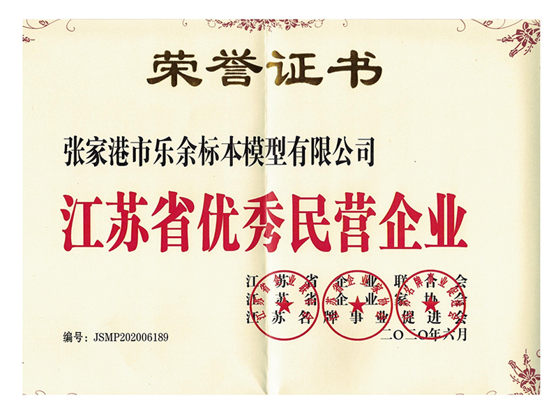 Outstanding Private Enterprise in Jiangsu Province