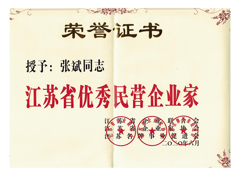 Outstanding Private Entrepreneur in Jiangsu Province