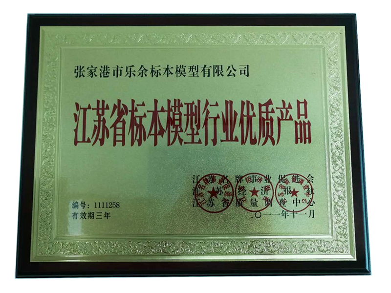Specimen model industry high-quality products