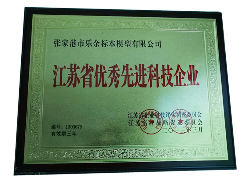 Excellent Advanced Technology Enterprise Certificate