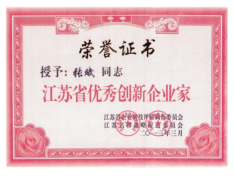 Outstanding Innovation Entrepreneur in Jiangsu Province