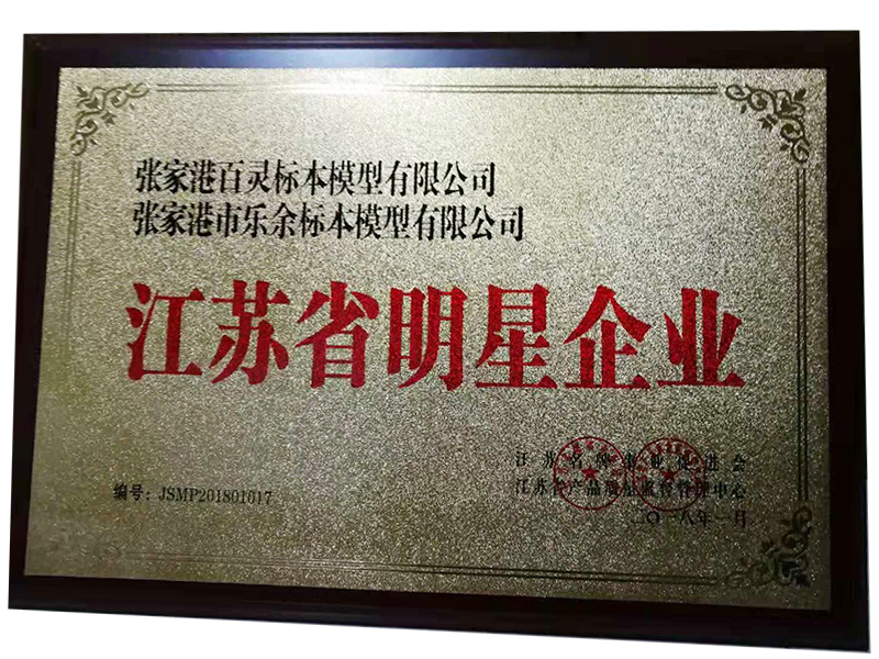 Star Enterprise in Jiangsu Province