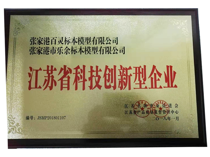 Jiangsu Province Science and Technology Innovation Enterprise