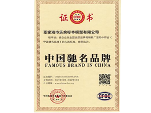 Chinese famous brand