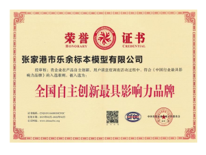 Most Influential Brand Certificate