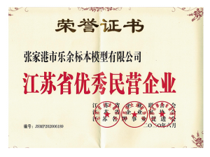 Outstanding Private Enterprise in Jiangsu Province