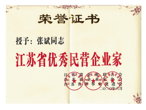 Outstanding Private Entrepreneur in Jiangsu Province