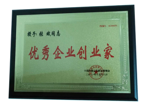 Outstanding Entrepreneur