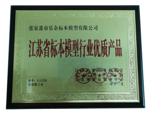 Specimen model industry high-quality products
