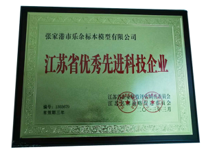 Excellent Advanced Technology Enterprise Certificate