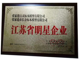 Star Enterprise in Jiangsu Province