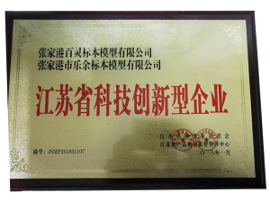Jiangsu Province Science and Technology Innovation Enterprise