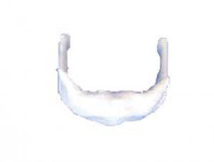 ZM1014 Hyoid bone enlarged model