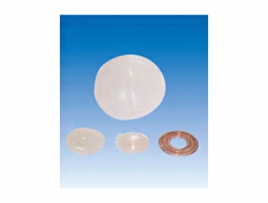 ZM1138 Lens, iris, cornea, vitreous