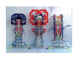 ZM1193 Internal structure and conduction of brain stem