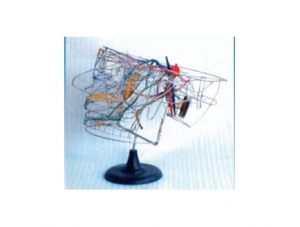 ZM1199 Cranial cavity and head, neck and chest solution ZM1198 Intracranial parasympathetic nerve (stereoscopic)