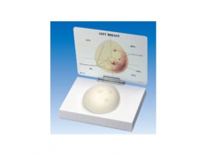 ZM2103 Breast Examination Model