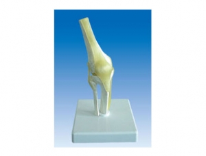 ZM2084 One-half knee joint