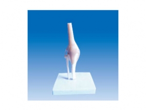 ZM2083 Knee joint
