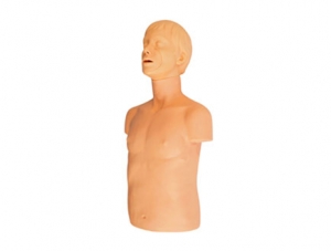 ZMJY/CPR-017 Adult Airway Infarction and CPR Model