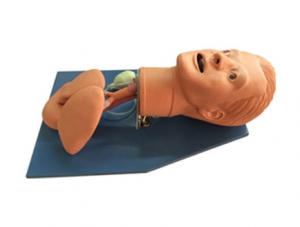 ZMJY/J-004 Airway Management Model