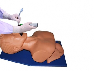 ZMJY/J-006 Electronic human tracheal intubation training model (with tooth pressure alarm)
