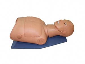 ZMJY/J-008 Half-body tracheal intubation and CPR model