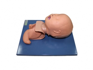 ZMJY/J-001 Neonatal tracheal intubation training model