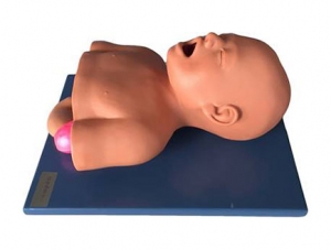 ZMJY/J-002 Infant tracheal intubation training model