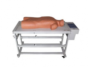 ZMJY/L-1001 Comprehensive puncture and percussion examination skills training model