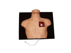 ZMJY/L-1020 venous intervention training model