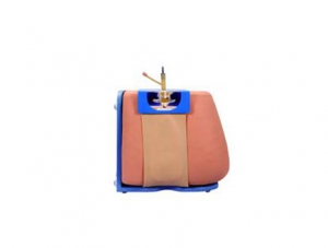 ZMJY/L-1021 Lumbar Puncture Model