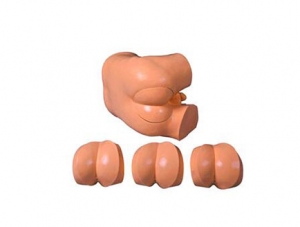 ZMJY/L-1023B digital rectal examination model