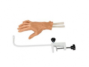 ZMJY/L-102D wrist arthroscopy model