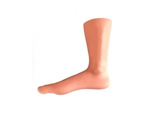 ZMJY/L-102E ankle arthroscopy model