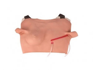 ZMJY/L-B24 Chest incision and suture model