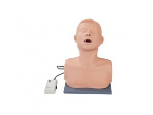 ZMJY/L-W08 Electronic throat examination model