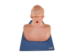 ZMJY/H-0010 Advanced Adult Tracheotomy Nursing Model