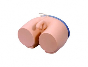 ZMJY/H-0014 Male catheterization model